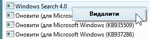  Windows Search 4.0